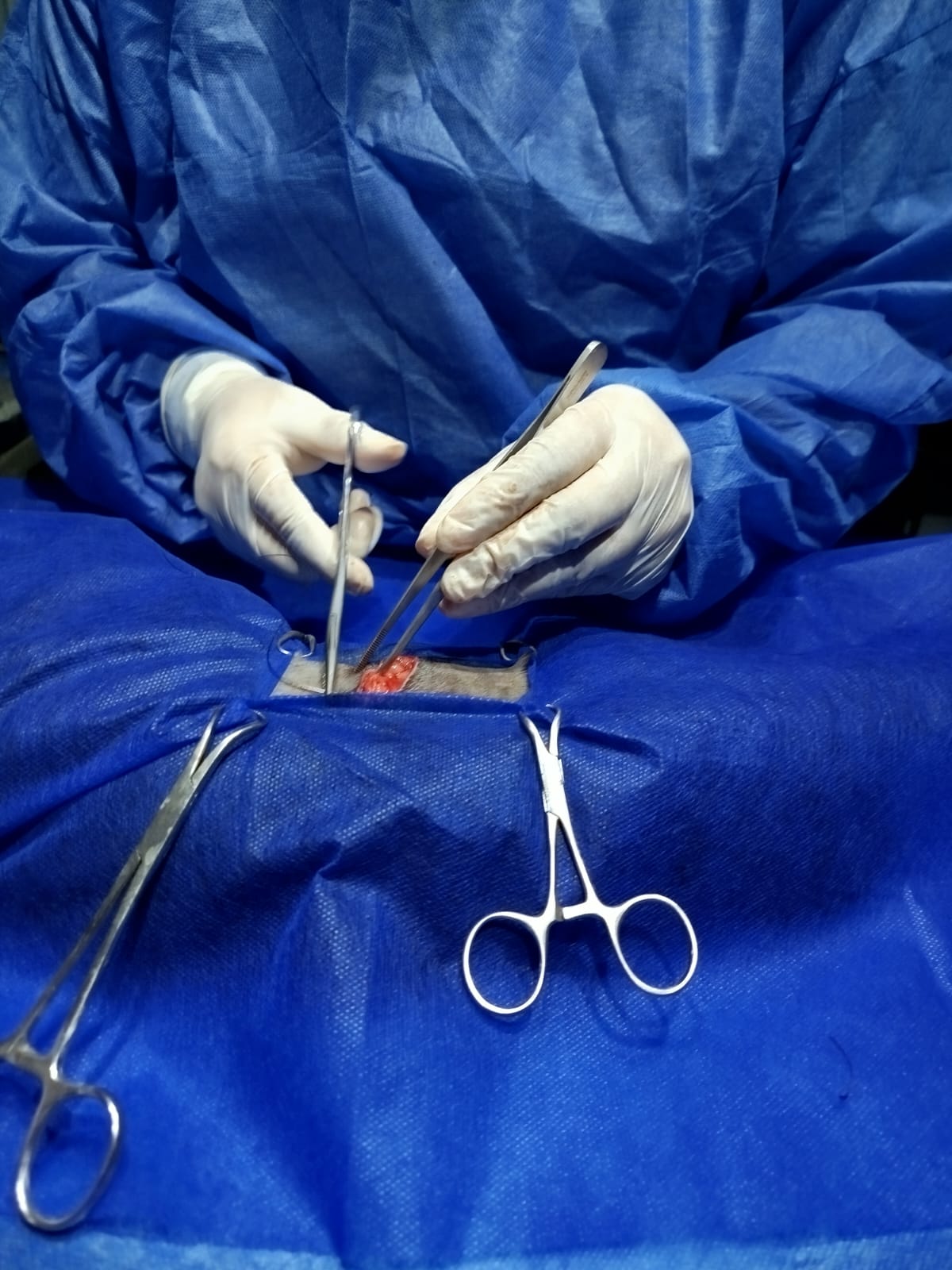 Cirugia